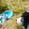 PawHydrate Sport Dog Water Bottle