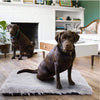 Pet Sleeping Cushion Mats Washable Dogs Bed